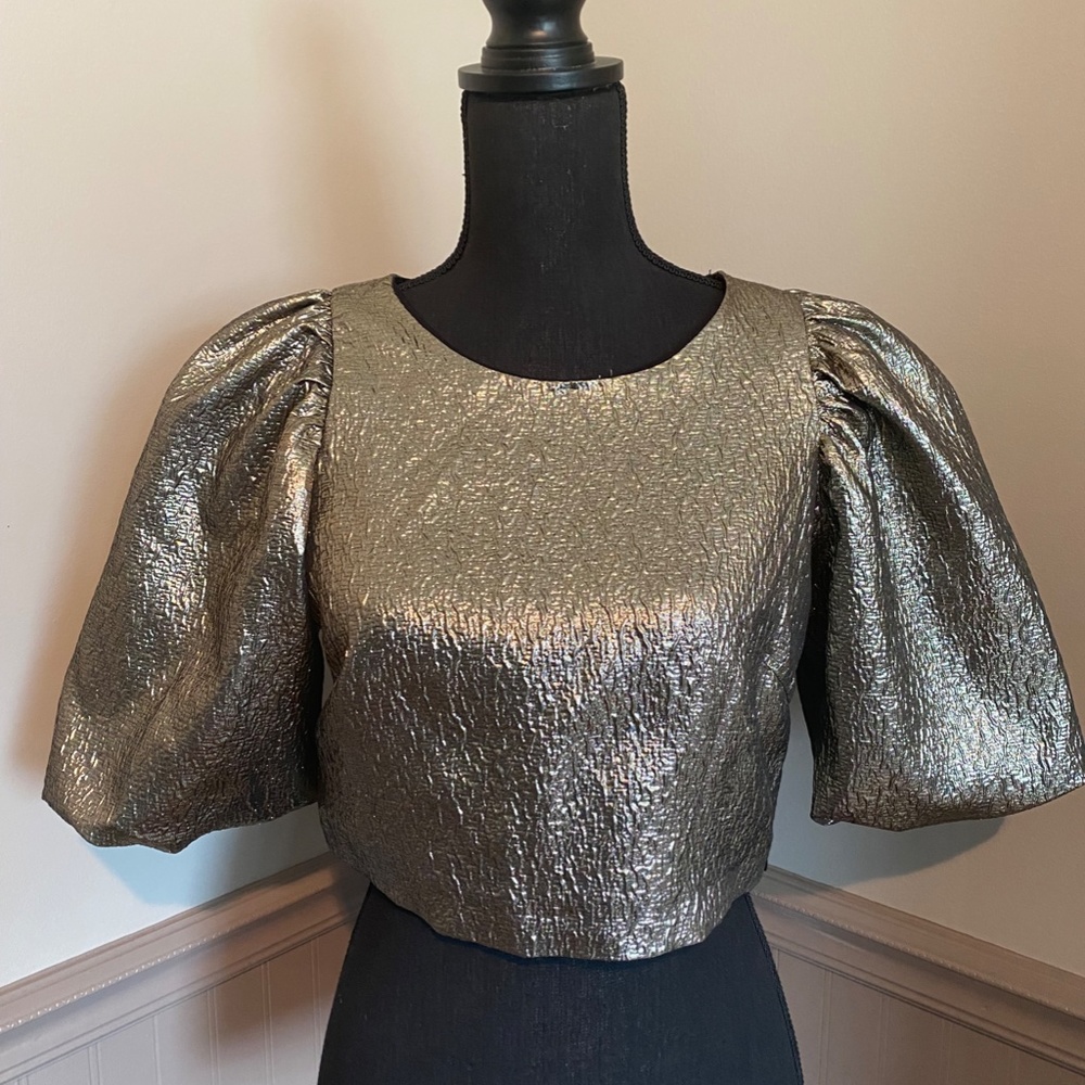 Zara Metallic Blouse
